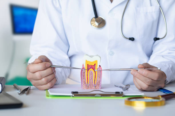 Best Emergency Tooth Extraction in Vernon Center, NJ